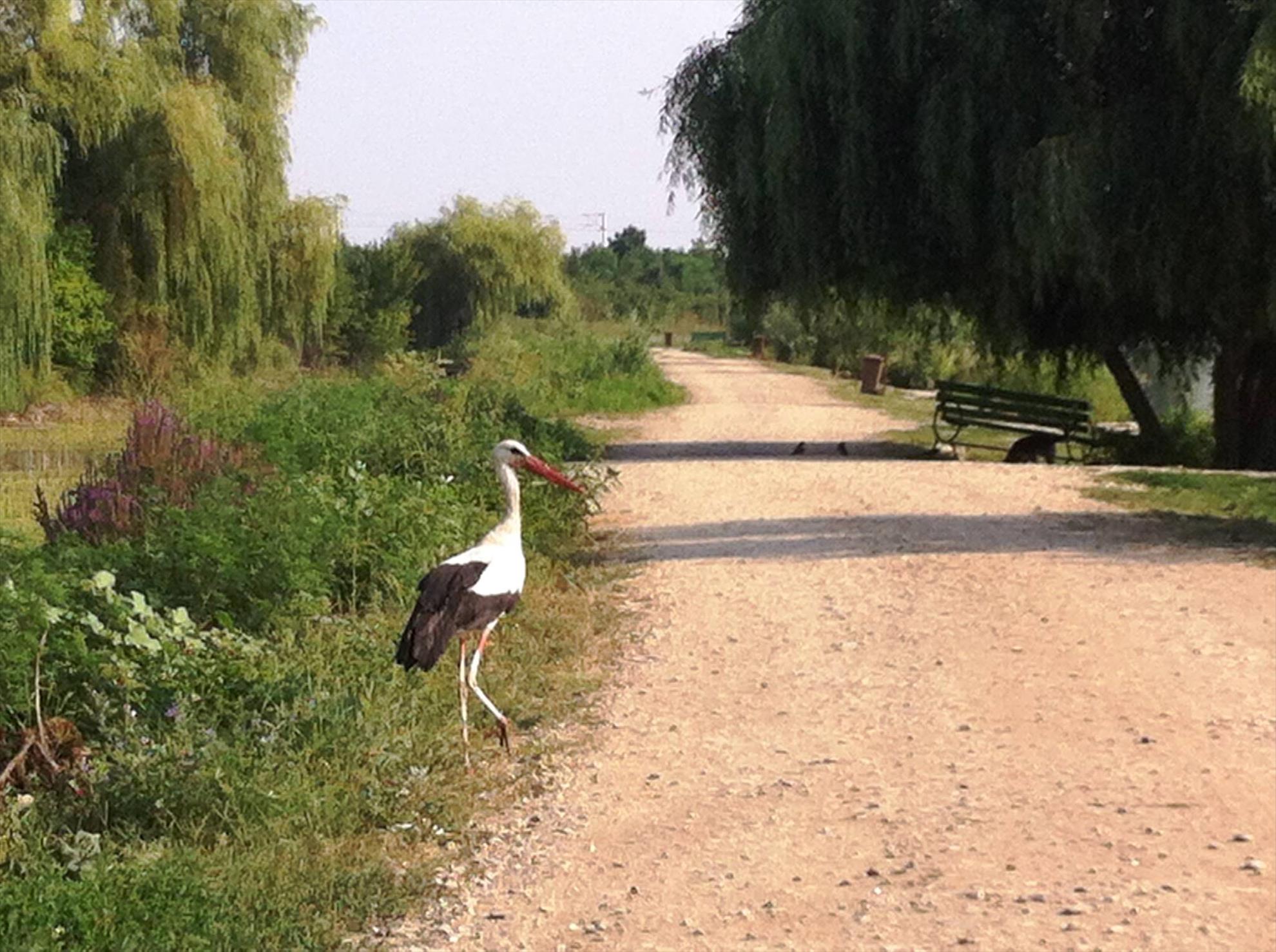 Hermes Peris 30 - 31 iulie 2015 - 110584961625718867709058254365580797967007o.jpg